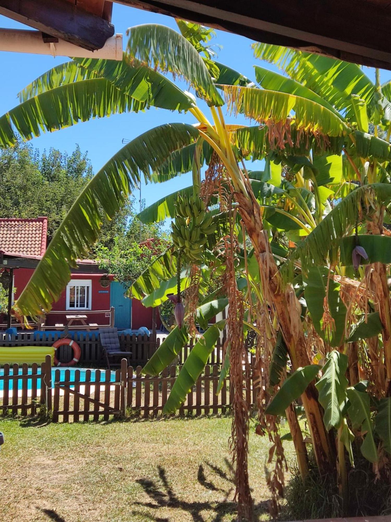Karma House Casares Exterior foto